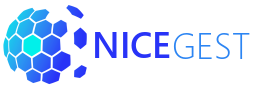 NiceGest